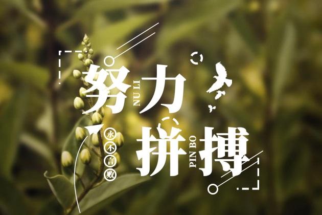  給我一份信任，還你10分滿意(圖3)